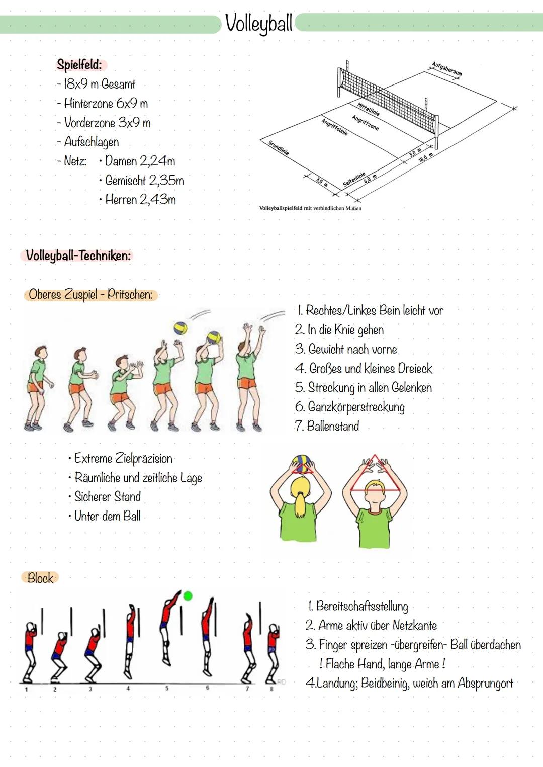 Spielfeld:
- 18x9 m Gesamt
Hinterzone 6x9 m
- Vorderzone 3x9 m
- Aufschlagen
- Netz: • Damen 2,24m
• Gemischt 2,35m
Herren 2,43m
Volleyball-