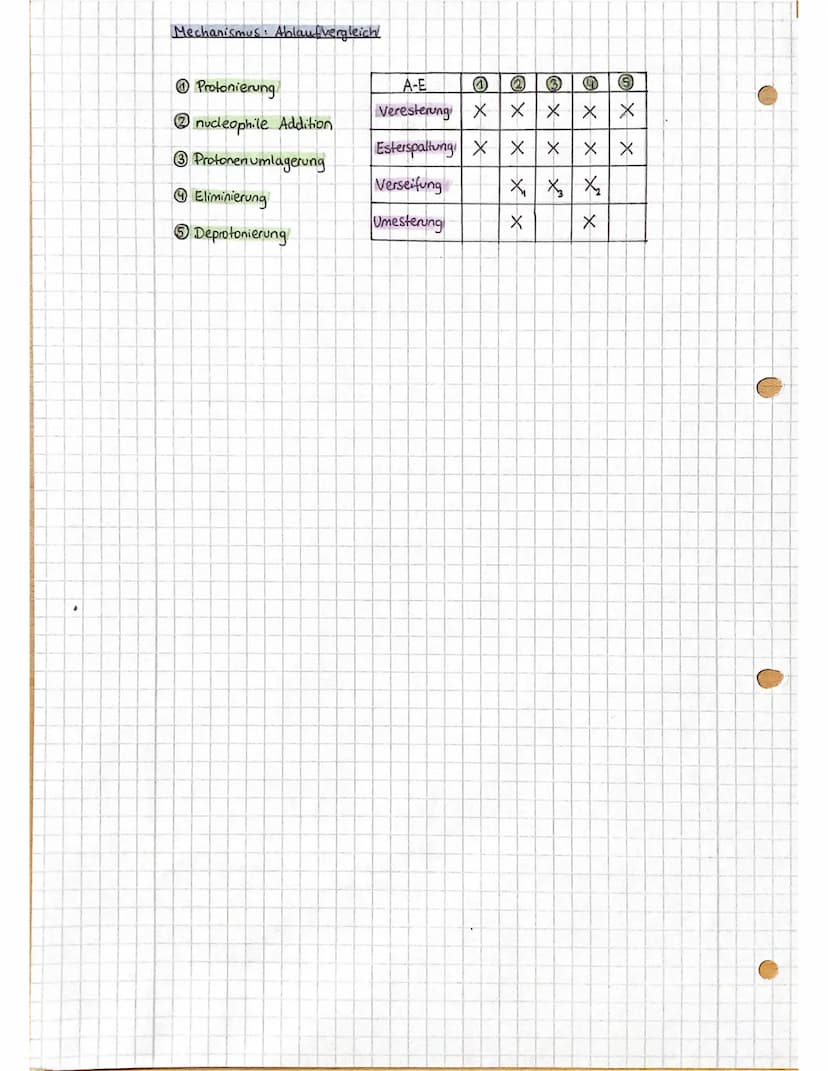 Ester
Gleichgewichtsrealition: Massenwirkungsgesetzl
c(Ester) c(Wasser) = Wert >1 → chemisches Gleichgewicht
K= c(Säure). C(Alhohol)
liegt a