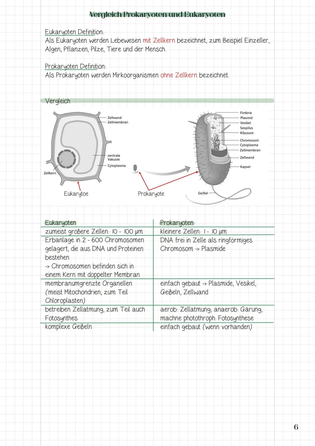1. System Zelle
1.1 Zellorganellen
→> Struktur und Funktion der Zellorganellen
> die Zelle als offenes System und die Bedeutung der Komparti