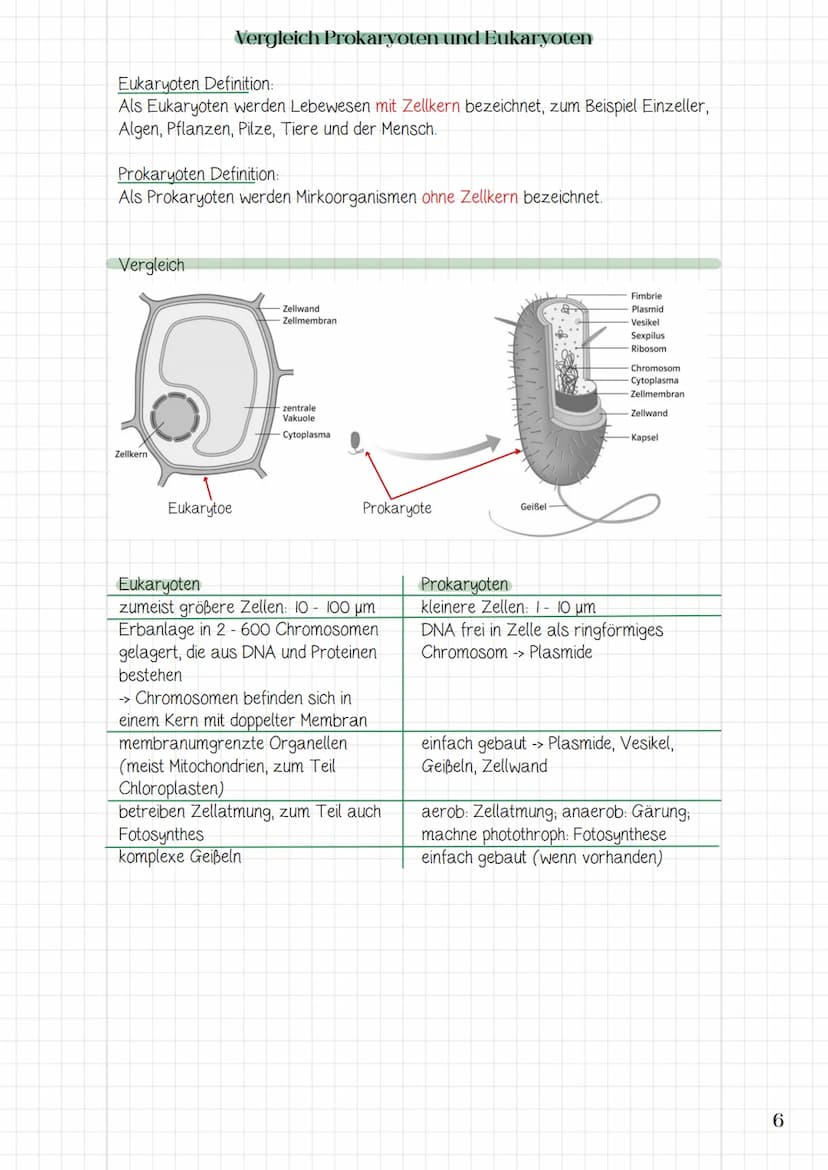 1. System Zelle
1.1 Zellorganellen
→> Struktur und Funktion der Zellorganellen
> die Zelle als offenes System und die Bedeutung der Komparti