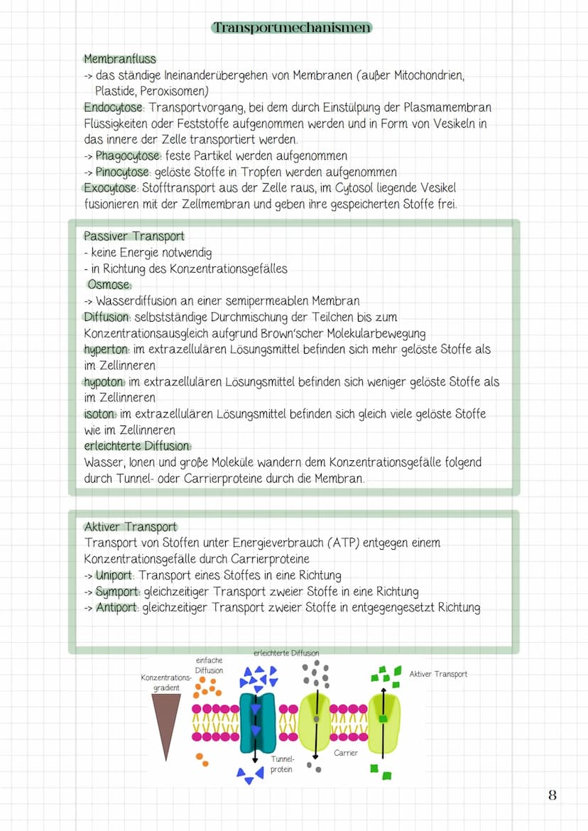 1. System Zelle
1.1 Zellorganellen
→> Struktur und Funktion der Zellorganellen
> die Zelle als offenes System und die Bedeutung der Komparti