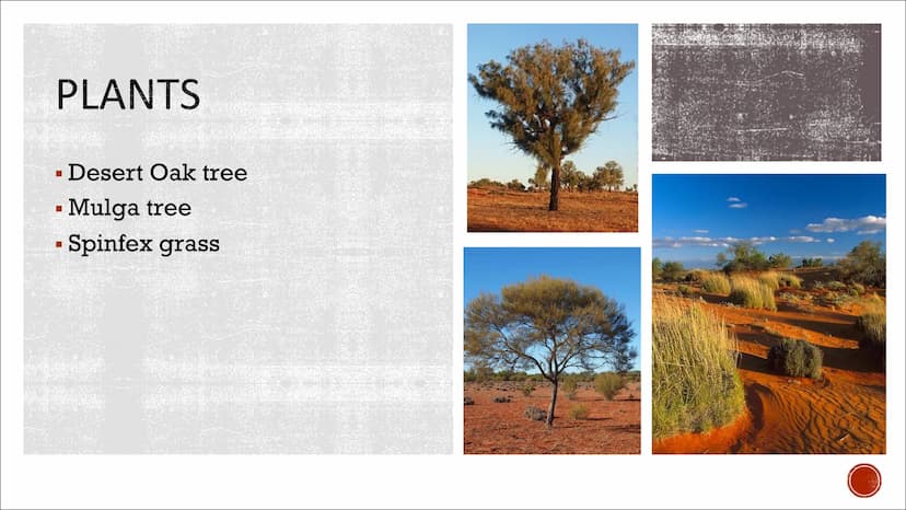 THE OUTBACK
Australia Text
Hello class ... and Mr/Mrs.... Today I present you something abouth the Outback.
I present you the thems General 