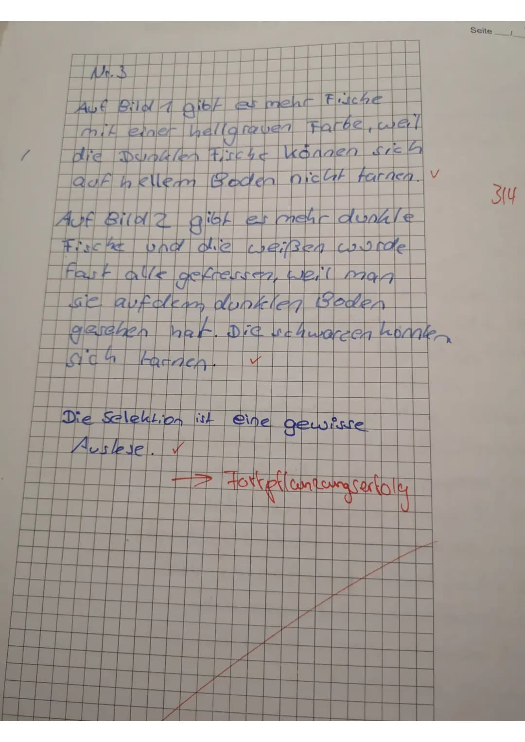 1. Aufgabe: Nenne 4 Punkte zu Darwins Evolutionstheorie.
2. Aufgabe: Beschreibe die Entstehung des langen Halses im unten aufgeführten Giraf