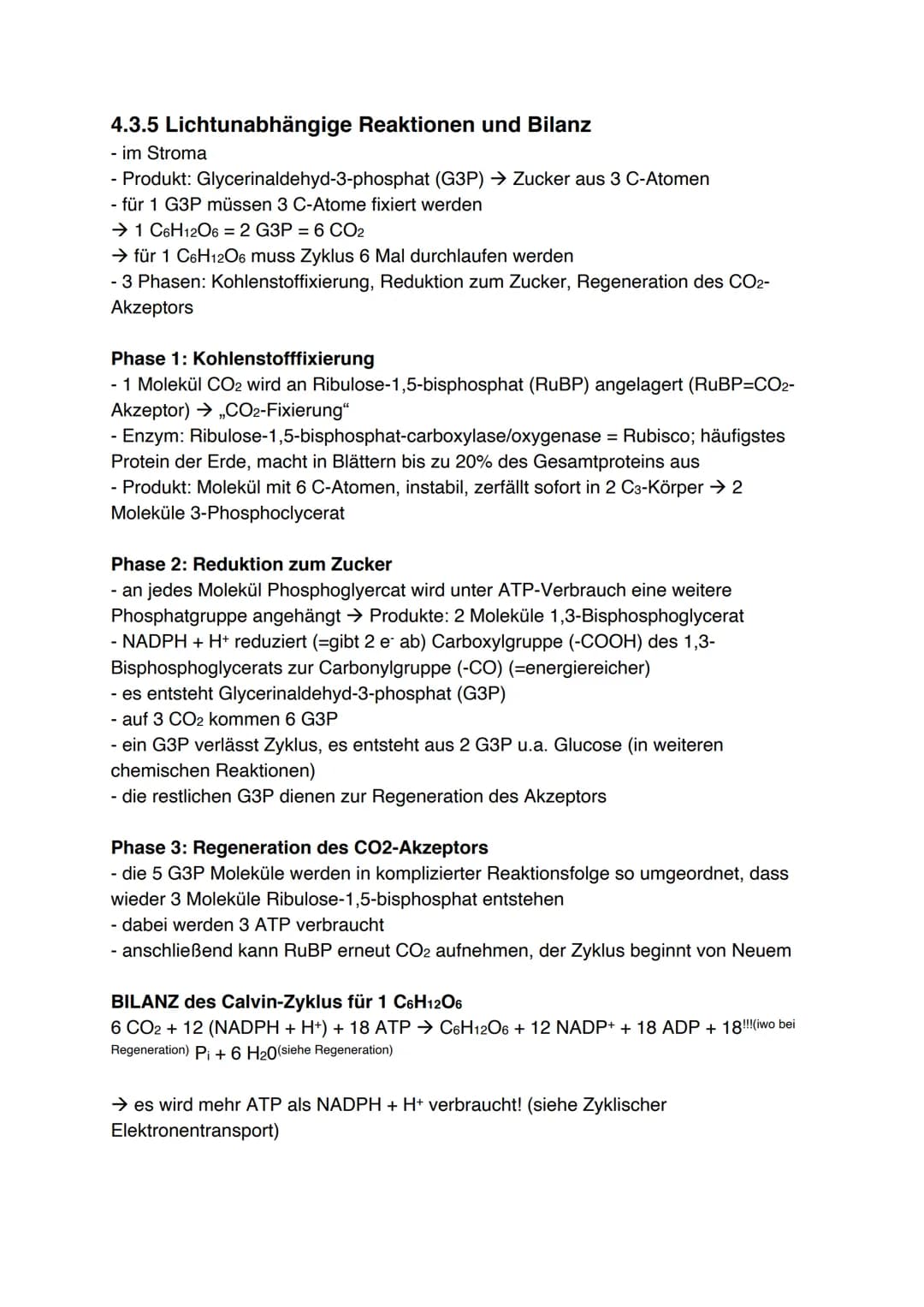 Fotosynthese (11/1)
4.3.1 Feinbau der Chloroplasten
Chloroplast:
-
In jeder Zelle von Palisaden- und
Schwammparenchym 30 bis 40 Chloroplaste