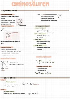 Know Aminosäuren, organische Chemie thumbnail