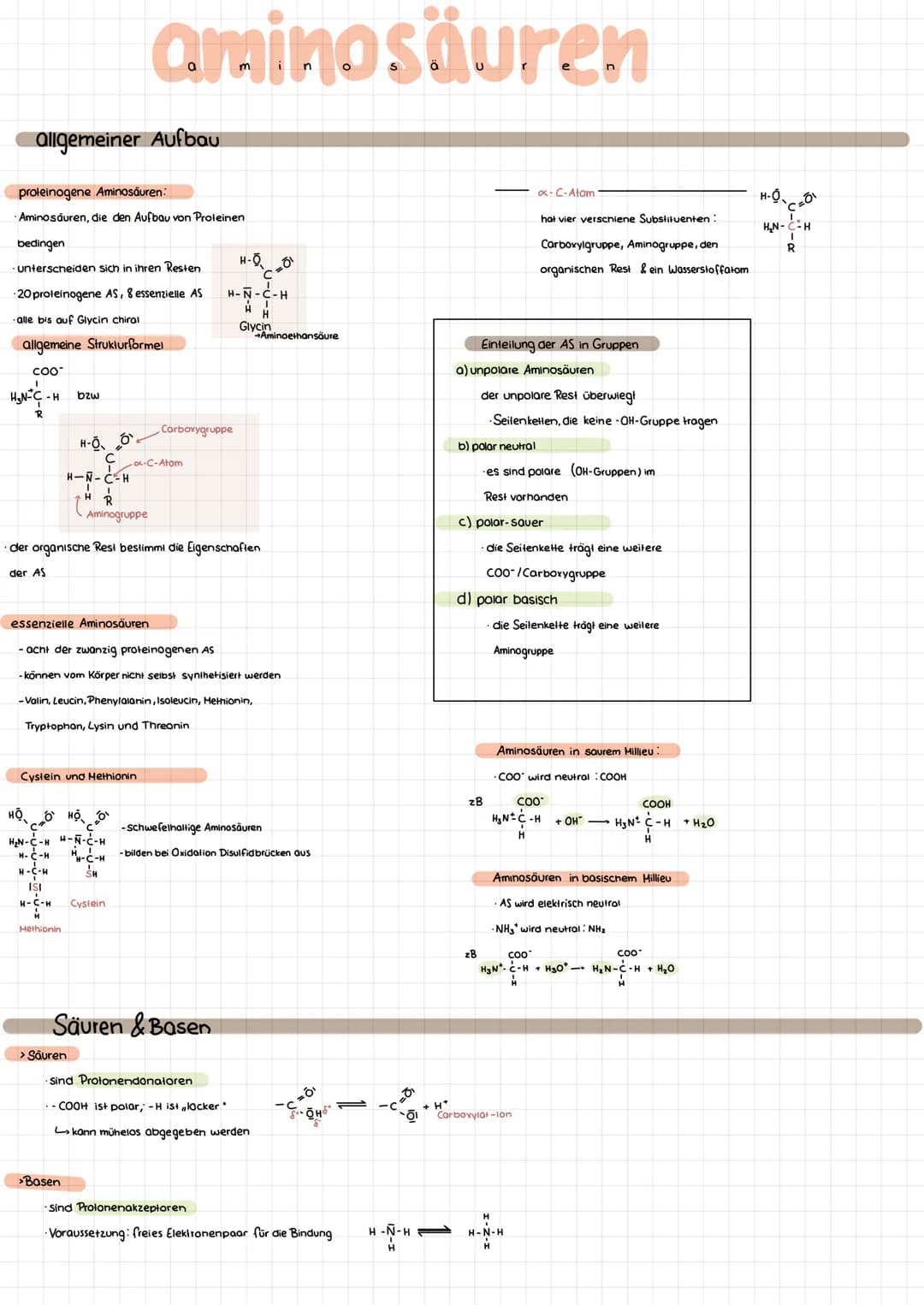 
<p>Proteinogene Aminosäuren sind die Bausteine von Proteinen und unterscheiden sich in ihren Resten. Es gibt 20 proteinogene Aminosäuren, v