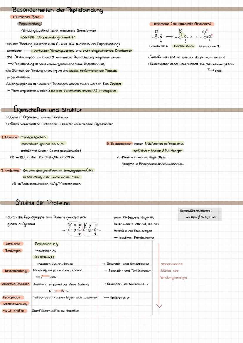
<p>Proteinogene Aminosäuren sind die Bausteine von Proteinen und unterscheiden sich in ihren Resten. Es gibt 20 proteinogene Aminosäuren, v