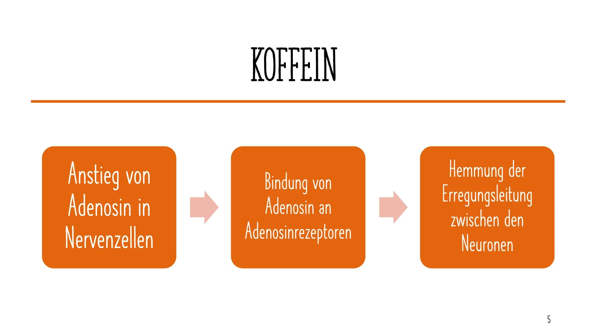 PHARMAKOLOGISCHES
NEUROENHANCEMENT
Nina Heuermann GLIEDERUNG
04.06.2021
Definition
Verbreitung in Deutschland
Koffein
Verschreibungspflichti