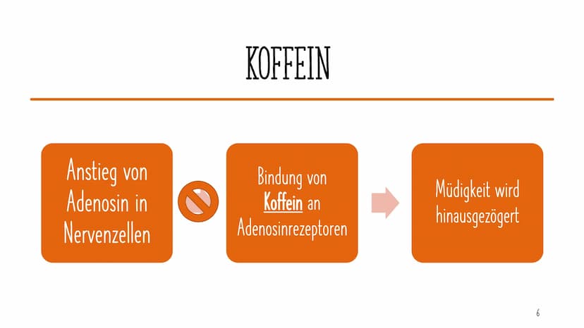 PHARMAKOLOGISCHES
NEUROENHANCEMENT
Nina Heuermann GLIEDERUNG
04.06.2021
Definition
Verbreitung in Deutschland
Koffein
Verschreibungspflichti