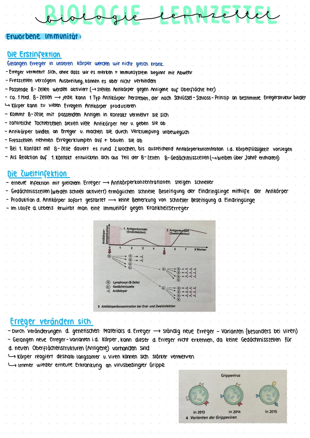 منهمنمنم
biologic lepnzettel
Unterschiede Bakterien und Viren:
Viren:
- sind Überträger von Krankheiten, wesentlich kleiner als Bakterien u.
