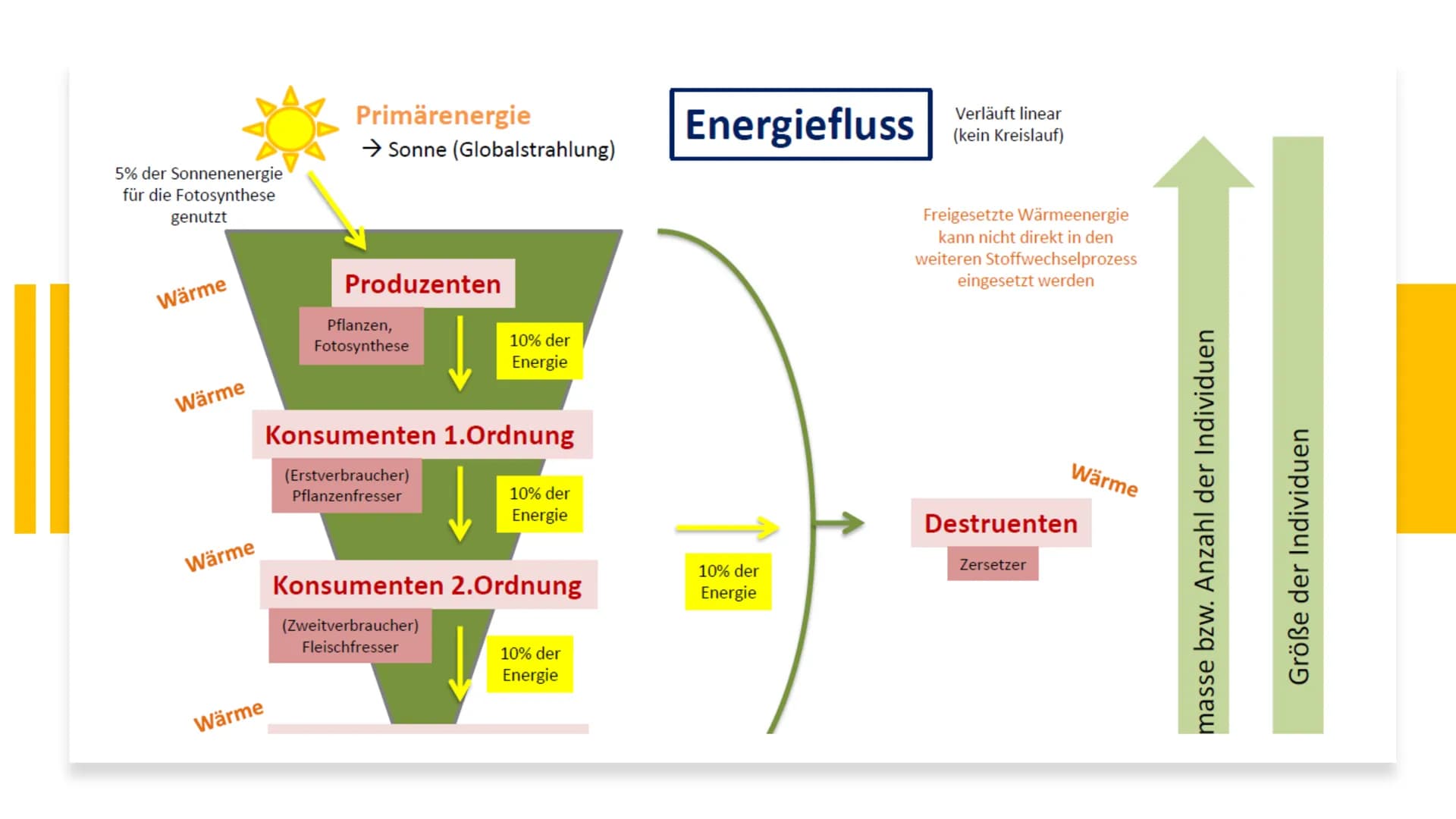 Lernblatt Klausur biotische UF kurz
Sonntag, 24. Mai 2020
Parasitismus
Wirt (Nachteil) & Parasit (Vorteil) → einseitiger Vorteil
Ektoparasit