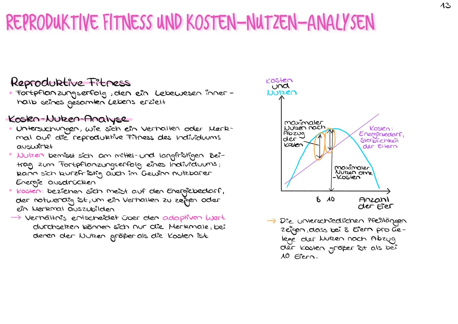 REPRODUKTIVE FITNESS UND KOSTEN-NUTZEN-ANALYSEN
Reproduktive Fitness
Fortpflanzungserfolg, den ein Lebewesen inner.
halb seines gesamten Leb