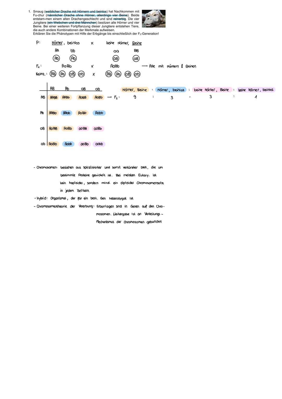 FORMALE GENETIK
ERBGÄNGE AUS SICHT DER CHROMOSOMENTHEORIE
MENDEL
Mendel 1822-1884
- Begründer der Vererbungslehre
In 8 J. über 10000 Kreuzun