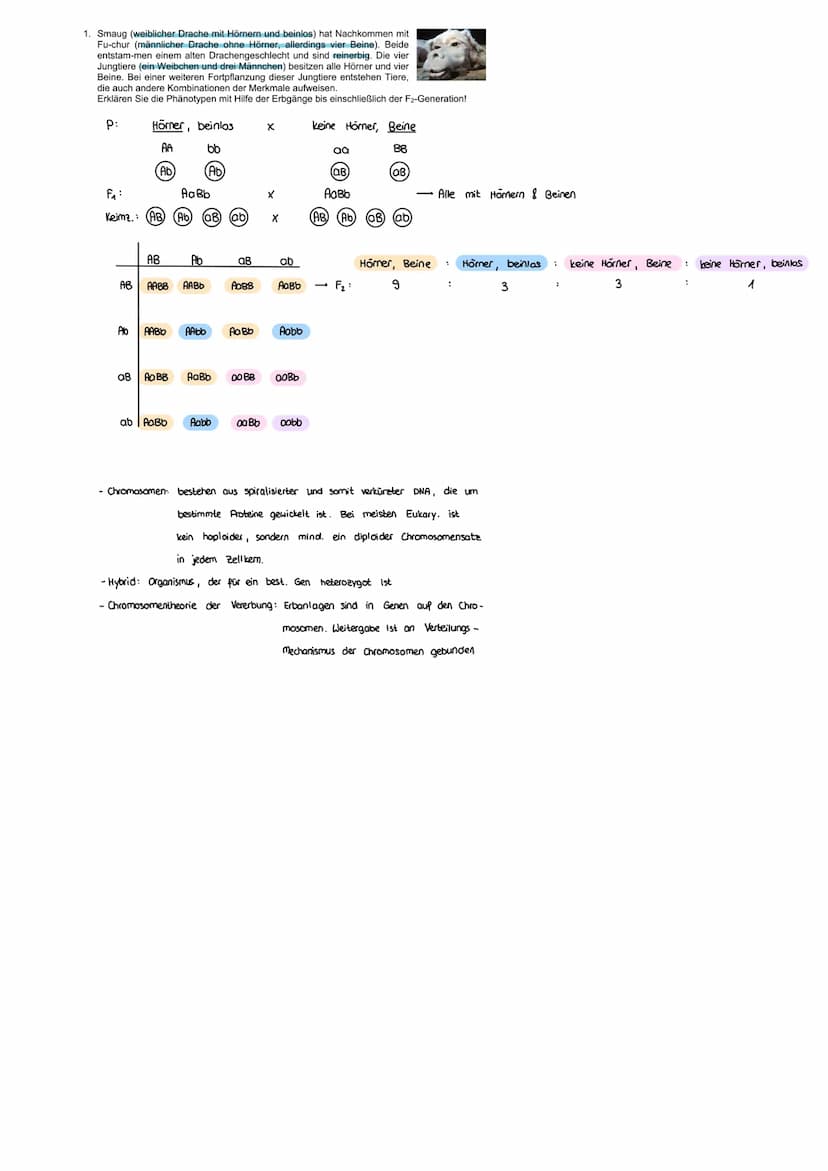 FORMALE GENETIK
ERBGÄNGE AUS SICHT DER CHROMOSOMENTHEORIE
MENDEL
Mendel 1822-1884
- Begründer der Vererbungslehre
In 8 J. über 10000 Kreuzun