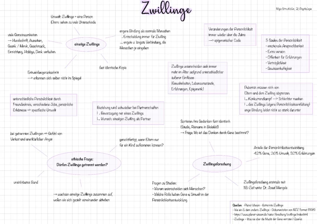 Zwillingsstudien: Psychologie, Unterschiede und mehr