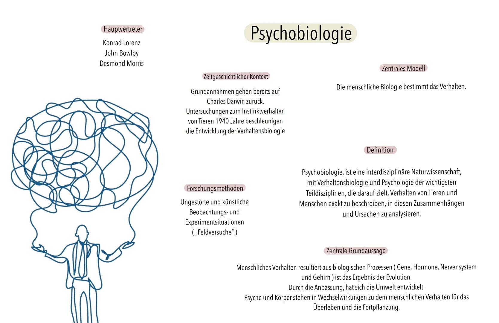 Rasteranalyse
Die Hauptströmungen
Es > Ich < Über. Ich
Moralitätsprinzip
Tiefenpsychologie
Lustprinzip
Behaviorismus
Humanistische
Psycholog