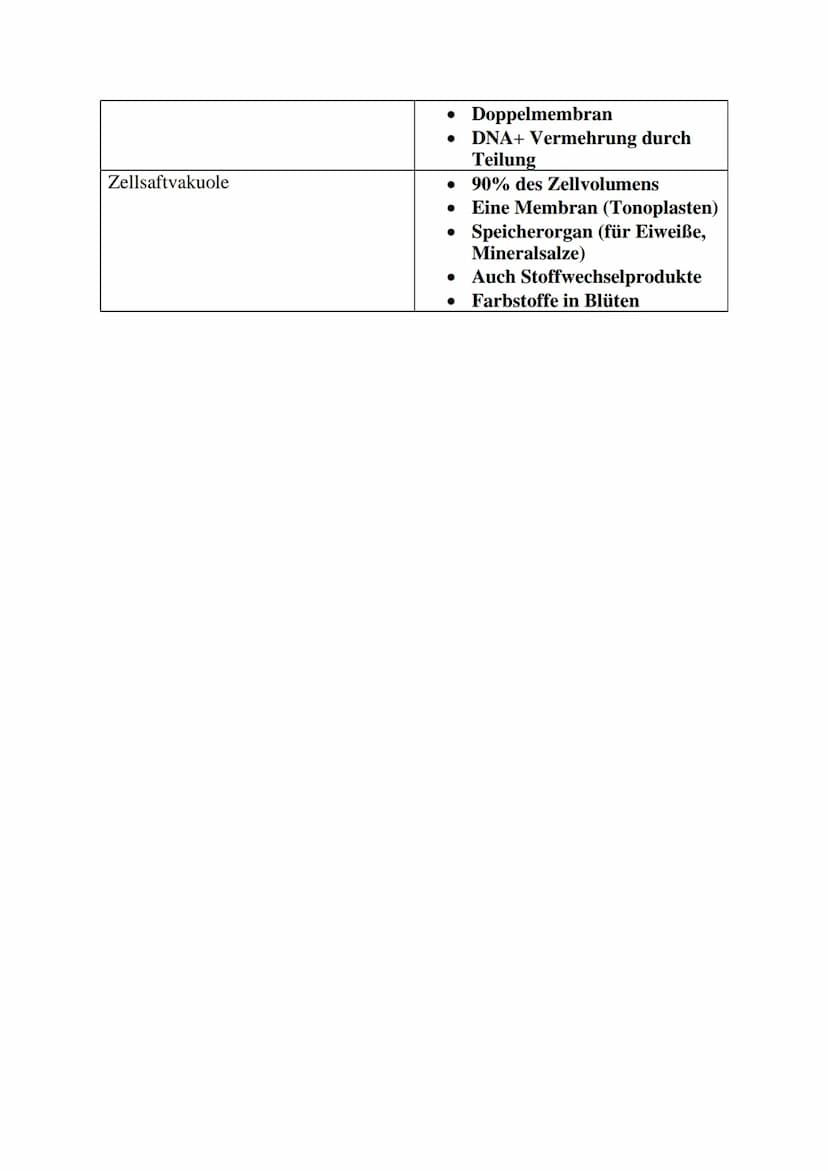 Zellorganellen und ihre Funktionen/Eigenschaften
Zellenorganell
Zellkern
Endoplasmatisches Retikulum
(Ribosomen)--> eigentlich kein
Organell