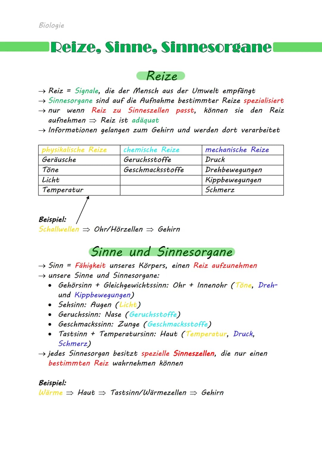 Biologie
Reize, Sinne, Sinnesorgane
Reize
→ Reiz = Signale, die der Mensch aus der Umwelt empfängt
→ Sinnesorgane sind auf die Aufnahme best