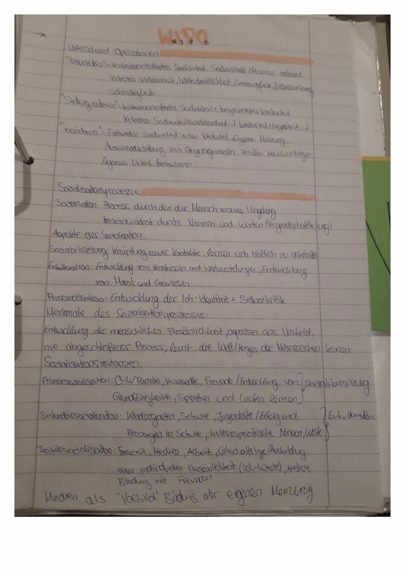 
<p>Die Definition der politischen Entscheidung fällt durch kriterienorientierte und argumentative Argumente, die die Effizienz einer politi