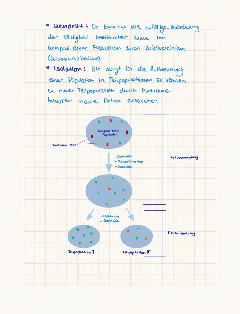 SYNTHETISCHE
EVOLUTIONSTHEORIE
Darwins Evolutions theorie ist im Verlauf der Zeit durch Erkenntnisse
aus verschiedenen Wissenschaftsbereiche