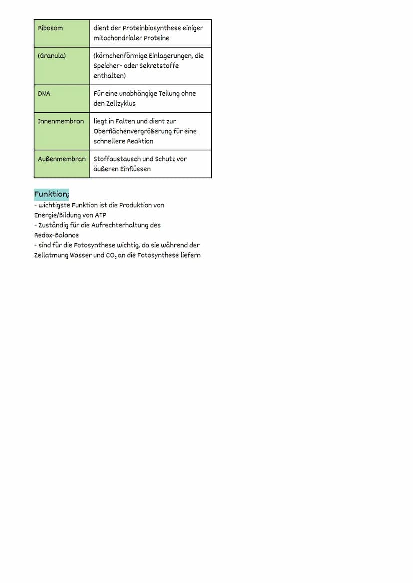 Fotosynthese
FW 1.2 Struktur und Funktion
= auf der Ebene von Organellen
Struktur und Funktionsbeziehungen
Fotosynthese findet ausschließlic