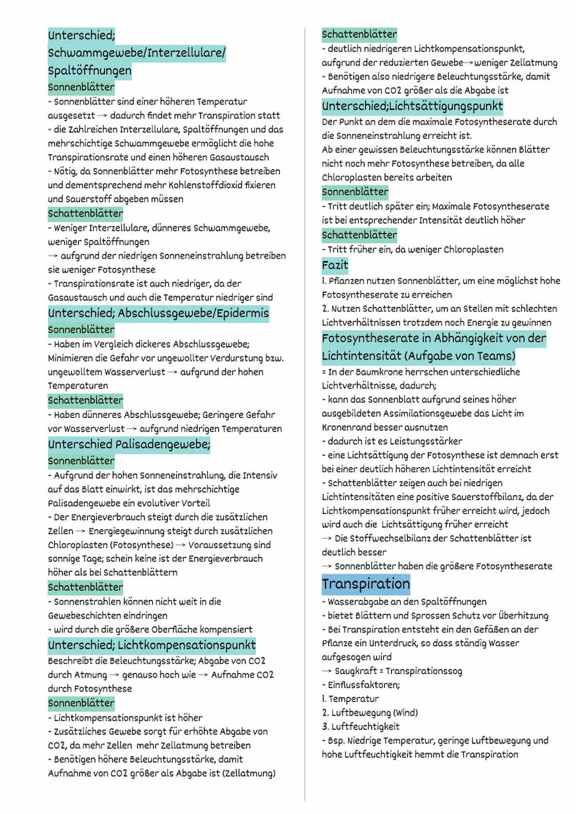 Fotosynthese
FW 1.2 Struktur und Funktion
= auf der Ebene von Organellen
Struktur und Funktionsbeziehungen
Fotosynthese findet ausschließlic