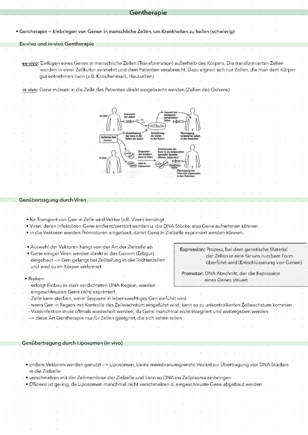 Gentherapie + Fotosynthese 