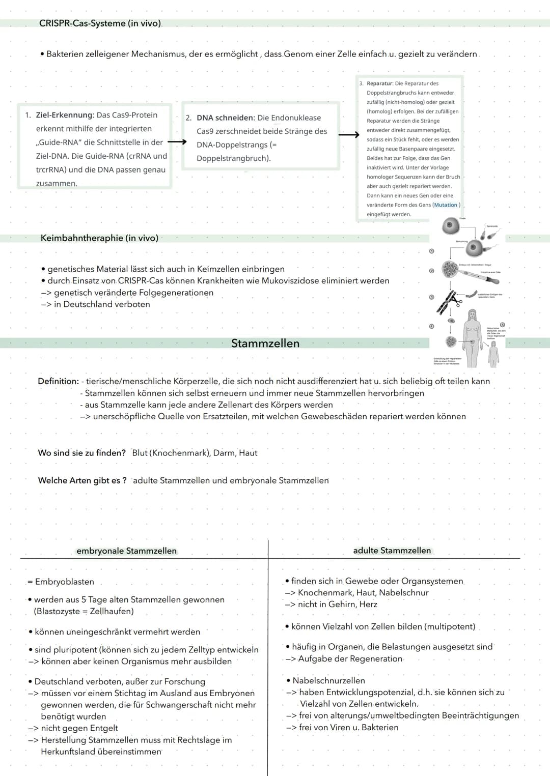 • Gentherapie = Einbringen von Genen in menschliche Zellen, um Krankheiten zu heilen (schwierig)
Ex-vivo und in-vivo Gentherapie
ex-vivo: Ei