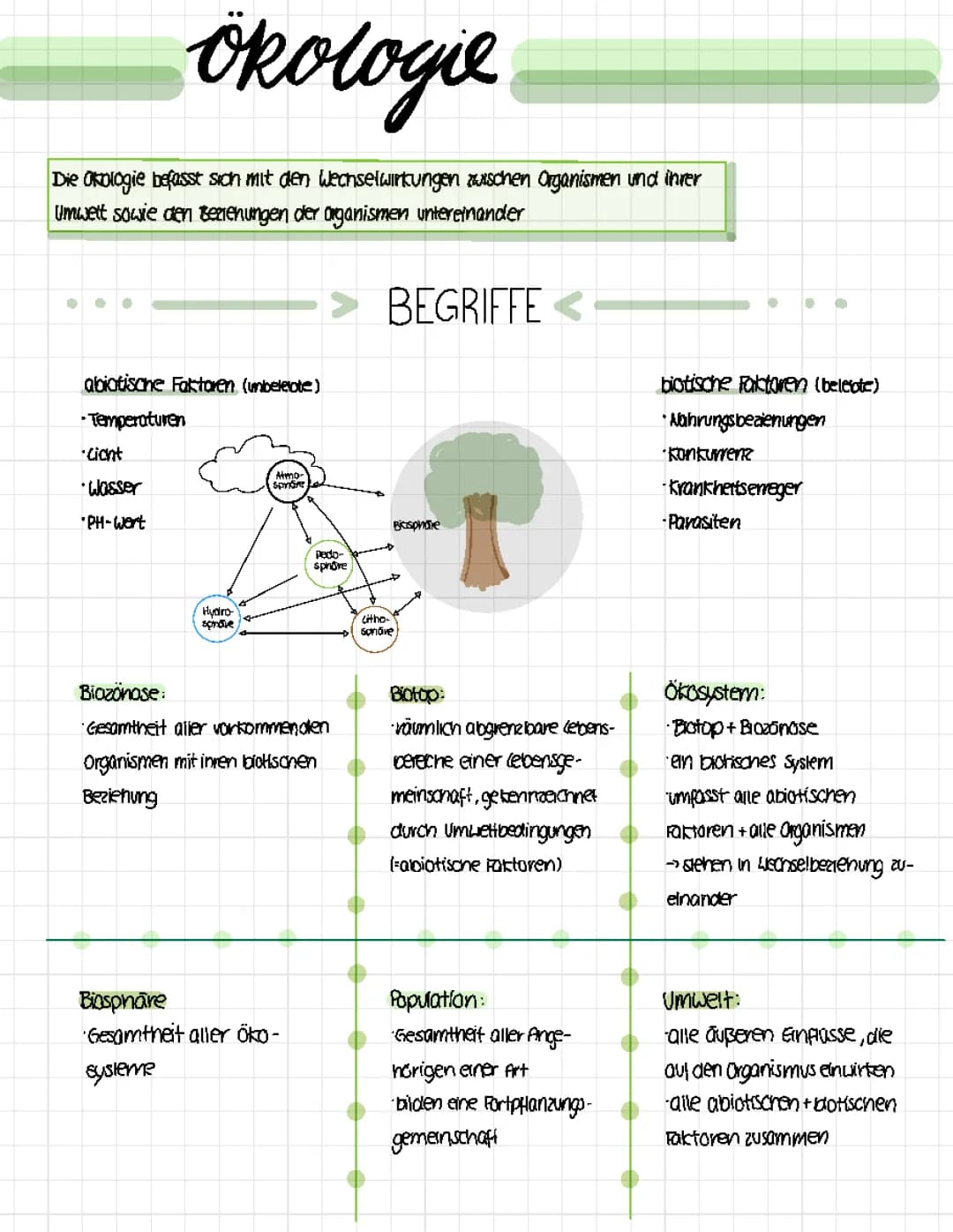 Ökologie Lernzettel 