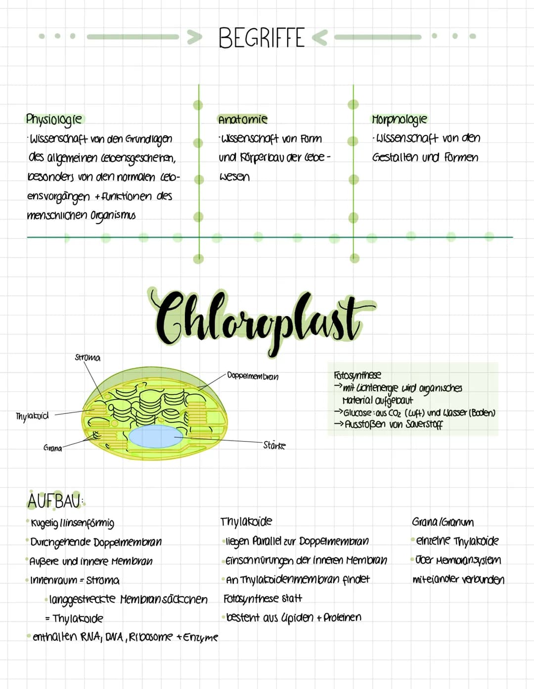 Okologie
Die Okologie befasst sich mit den Wechselwirkungen zwischen Organismen und ihrer
Umwelt sowie den Beziehungen der Organismen untere