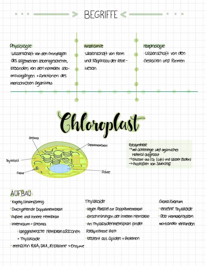 Okologie
Die Okologie befasst sich mit den Wechselwirkungen zwischen Organismen und ihrer
Umwelt sowie den Beziehungen der Organismen untere