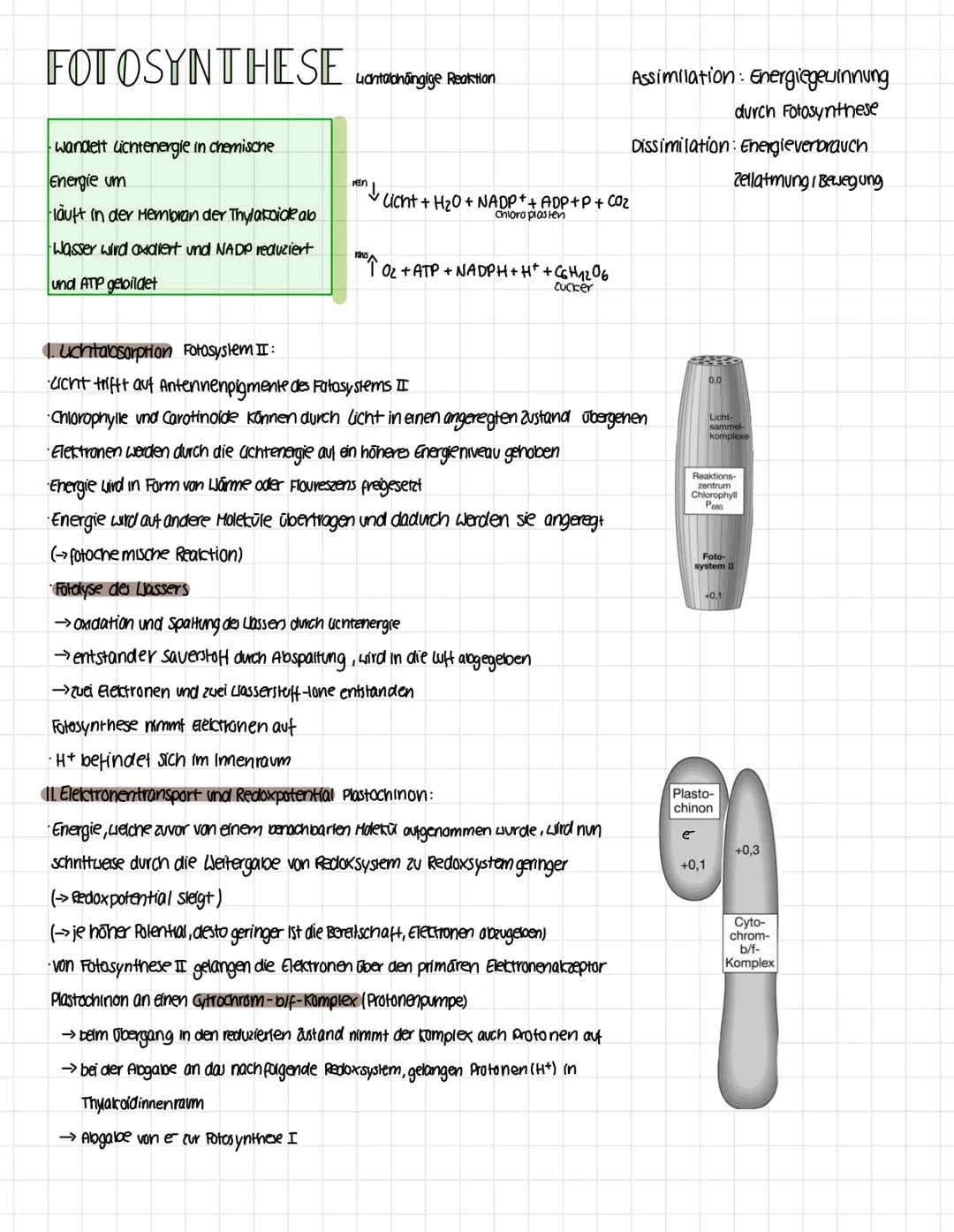 Okologie
Die Okologie befasst sich mit den Wechselwirkungen zwischen Organismen und ihrer
Umwelt sowie den Beziehungen der Organismen untere