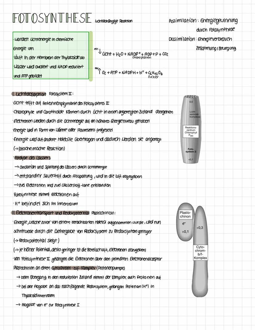 Okologie
Die Okologie befasst sich mit den Wechselwirkungen zwischen Organismen und ihrer
Umwelt sowie den Beziehungen der Organismen untere