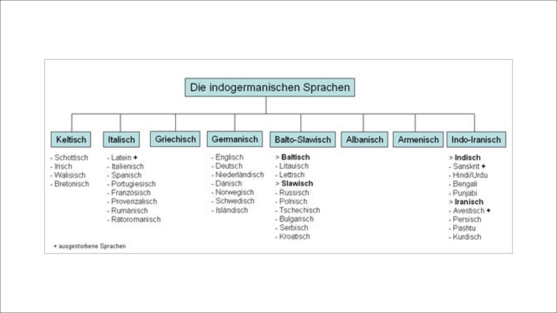 INDOGERMANISCHE
SPRACHE
VON: LOREDANA PETTÉ & MARIA GESSICA CELONA INHALTSVERZEICHNIS
●
●
indogermanischgermanisch und indoeuropäisch
Defini