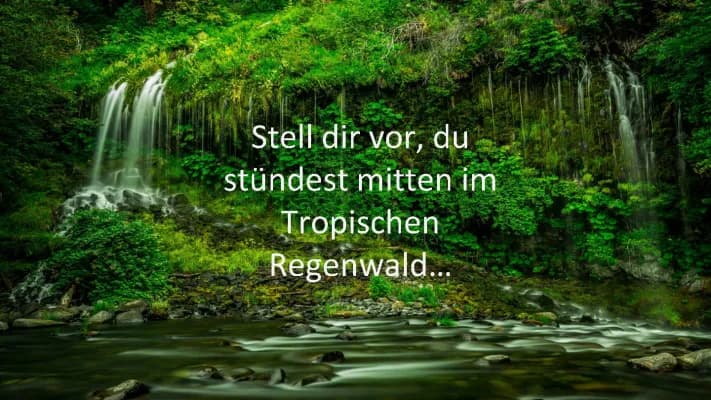 Know Tropischer Regenwald thumbnail