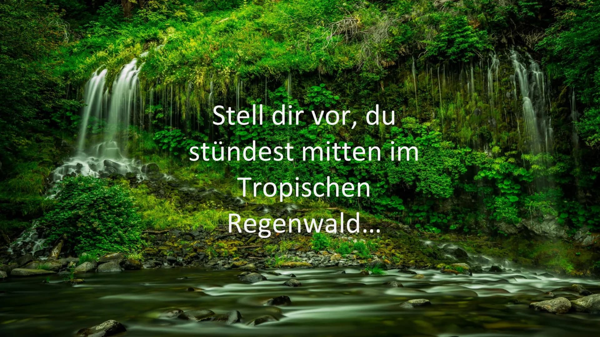 Stell dir vor, du
stündest mitten im
Tropischen
Regenwald... Tropischer Regenwald
Geographie Leistungskurs
EFG Klasse 12 1
2
Lage &
Merkmale