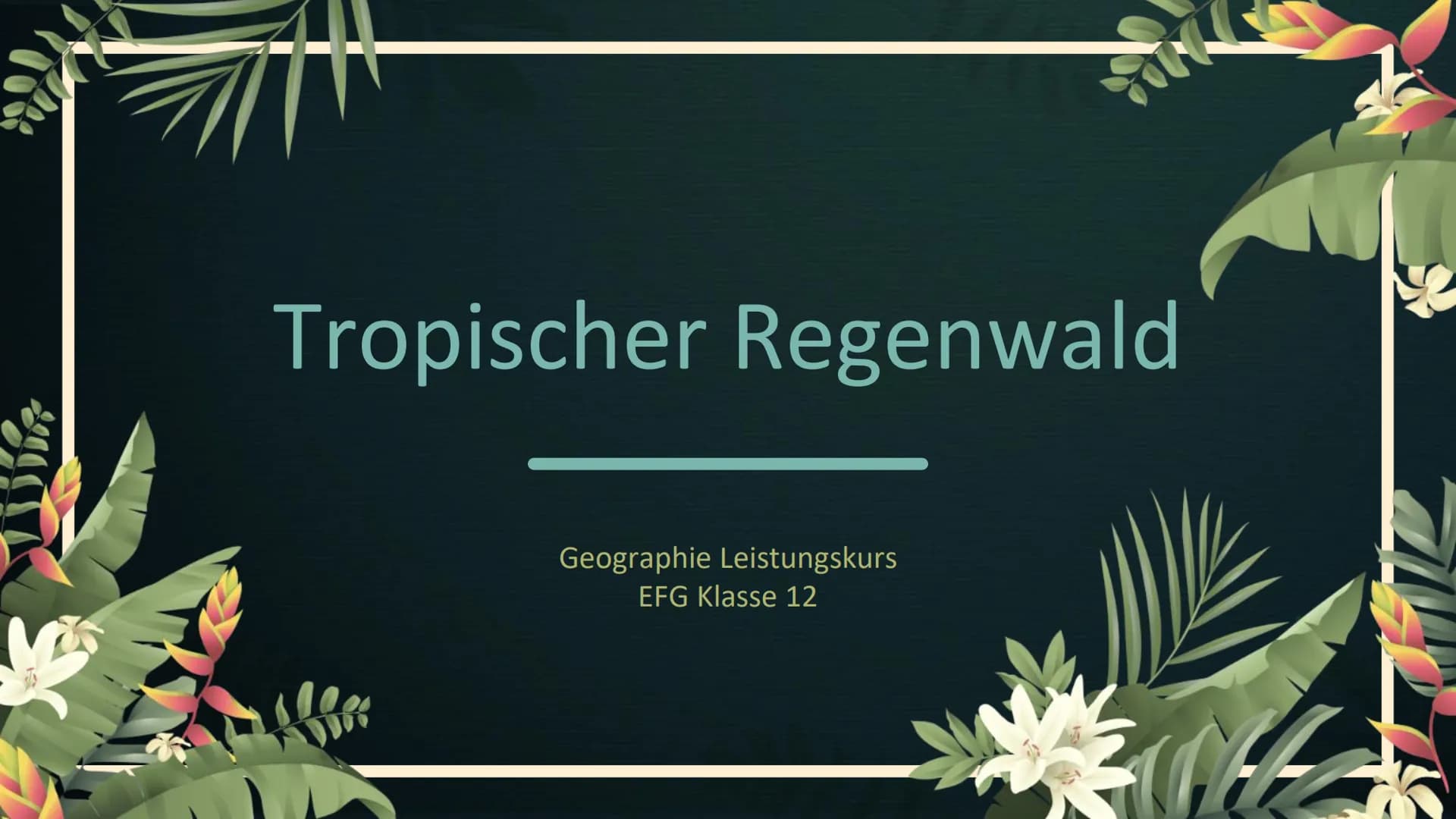 Stell dir vor, du
stündest mitten im
Tropischen
Regenwald... Tropischer Regenwald
Geographie Leistungskurs
EFG Klasse 12 1
2
Lage &
Merkmale