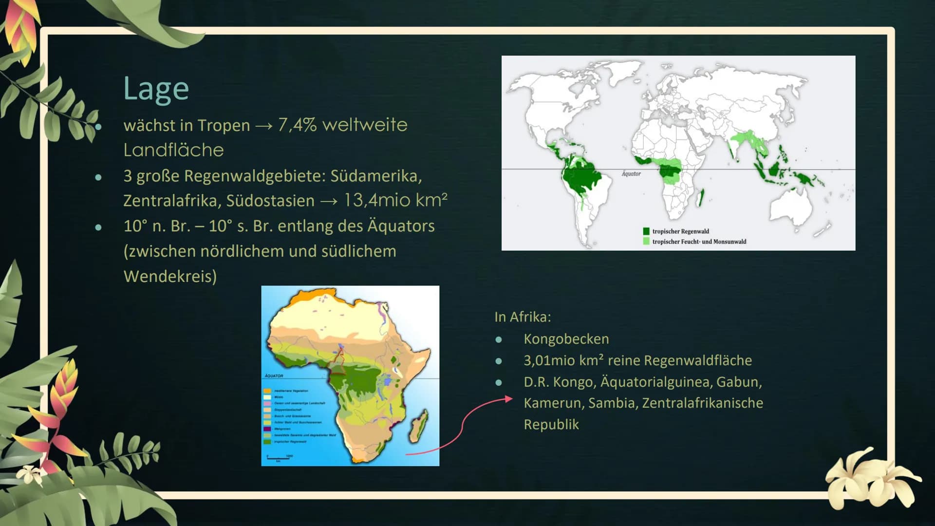 Stell dir vor, du
stündest mitten im
Tropischen
Regenwald... Tropischer Regenwald
Geographie Leistungskurs
EFG Klasse 12 1
2
Lage &
Merkmale
