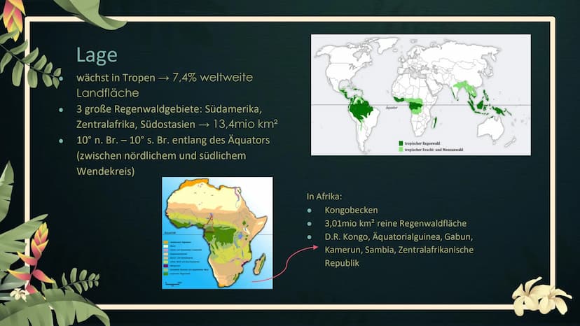 Stell dir vor, du
stündest mitten im
Tropischen
Regenwald... Tropischer Regenwald
Geographie Leistungskurs
EFG Klasse 12 1
2
Lage &
Merkmale