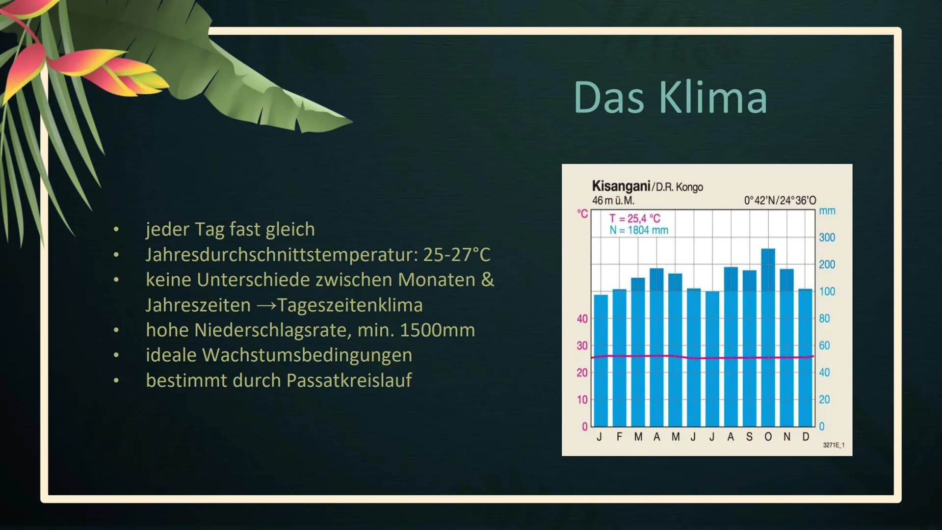 Stell dir vor, du
stündest mitten im
Tropischen
Regenwald... Tropischer Regenwald
Geographie Leistungskurs
EFG Klasse 12 1
2
Lage &
Merkmale