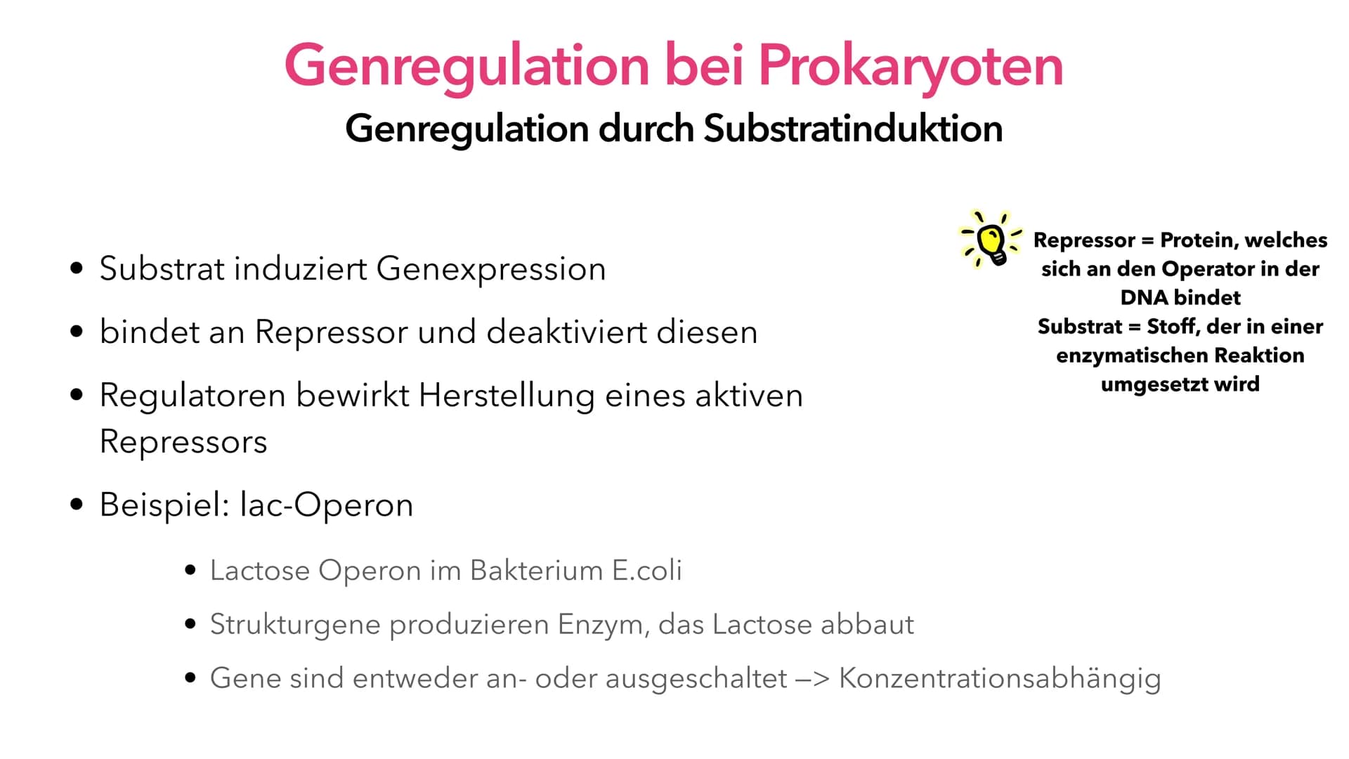 Phosphat (P)
Adenin (A)
Cytosin (C)
A
Thymin (T)
Guanin (G)
Genregulation
Pia Lindau & Mali Nilles; Biologie GK, Herr Förster Inhaltsverzeic