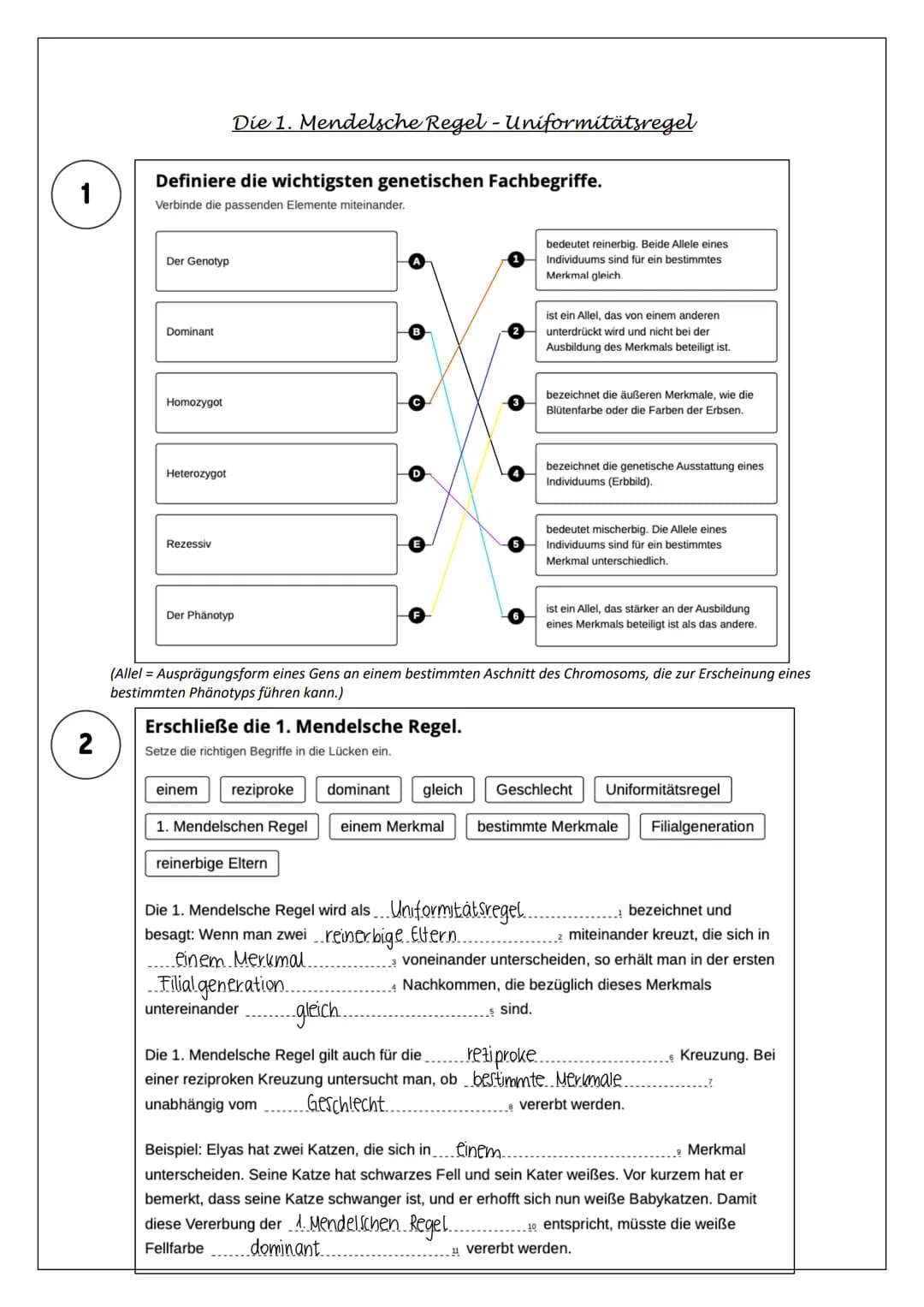 1
2
Definiere die wichtigsten genetischen Fachbegriffe.
Verbinde die passenden Elemente miteinander.
Der Genotyp
Dominant
Homozygot
Heterozy