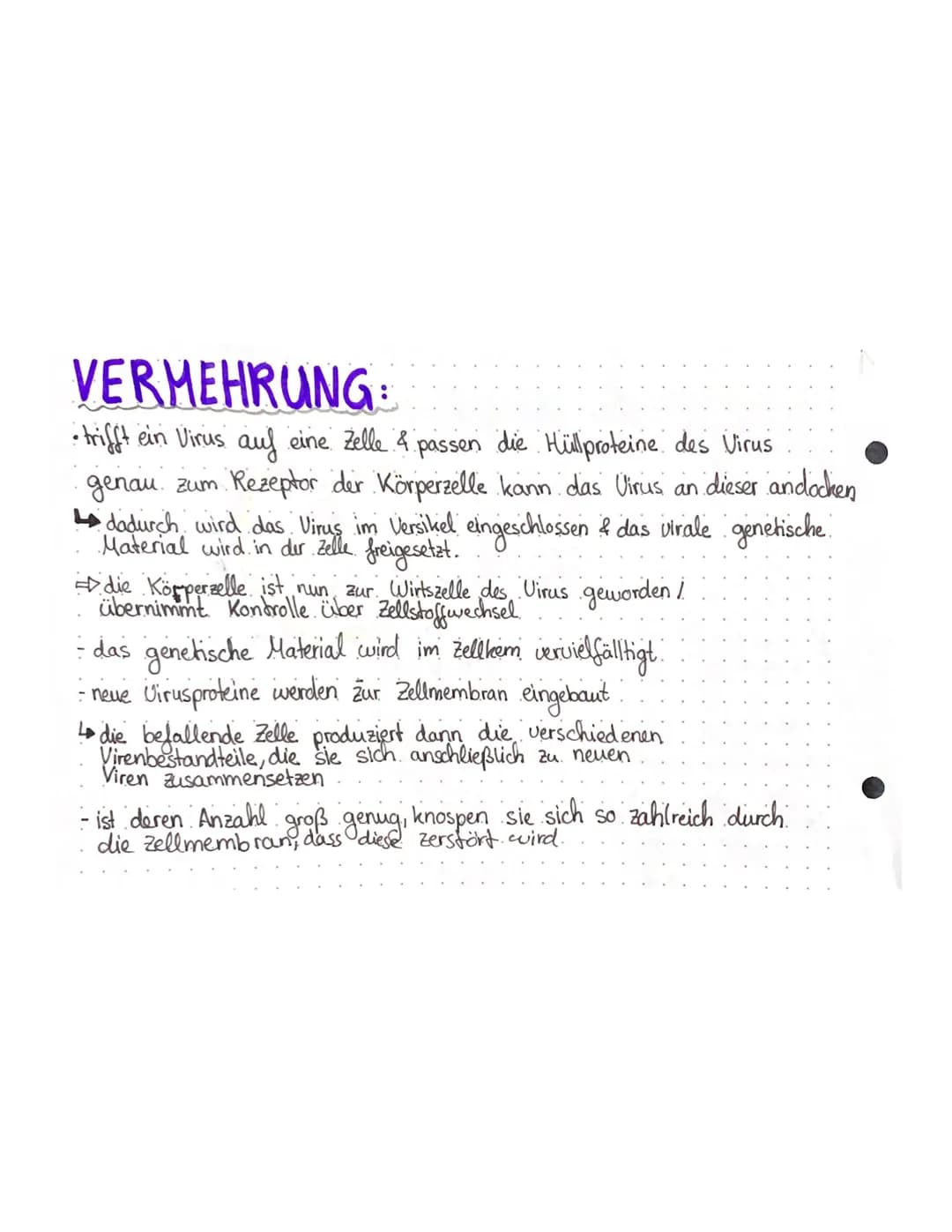 VERMEHRUNG
• trifft ein Virus auf eine Zelle & passen die Hüll proteine des Virus
genau zum Rezeptor der Körperzelle kann das Virus an diese