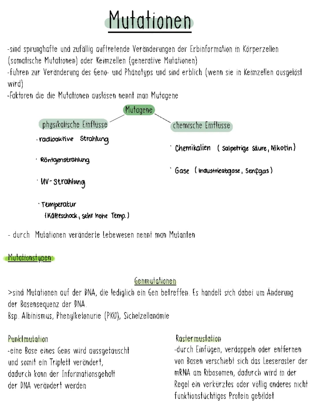 Mutation und Modifikation: Definition, Beispiele und Unterschiede erklärt