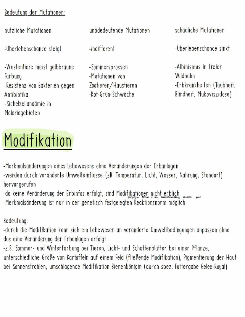 Mutationen
-sind sprunghafte und zufällig auftretende Veränderungen der Erbinformation in Körperzellen
(somatische Mutationen) oder Keimzell