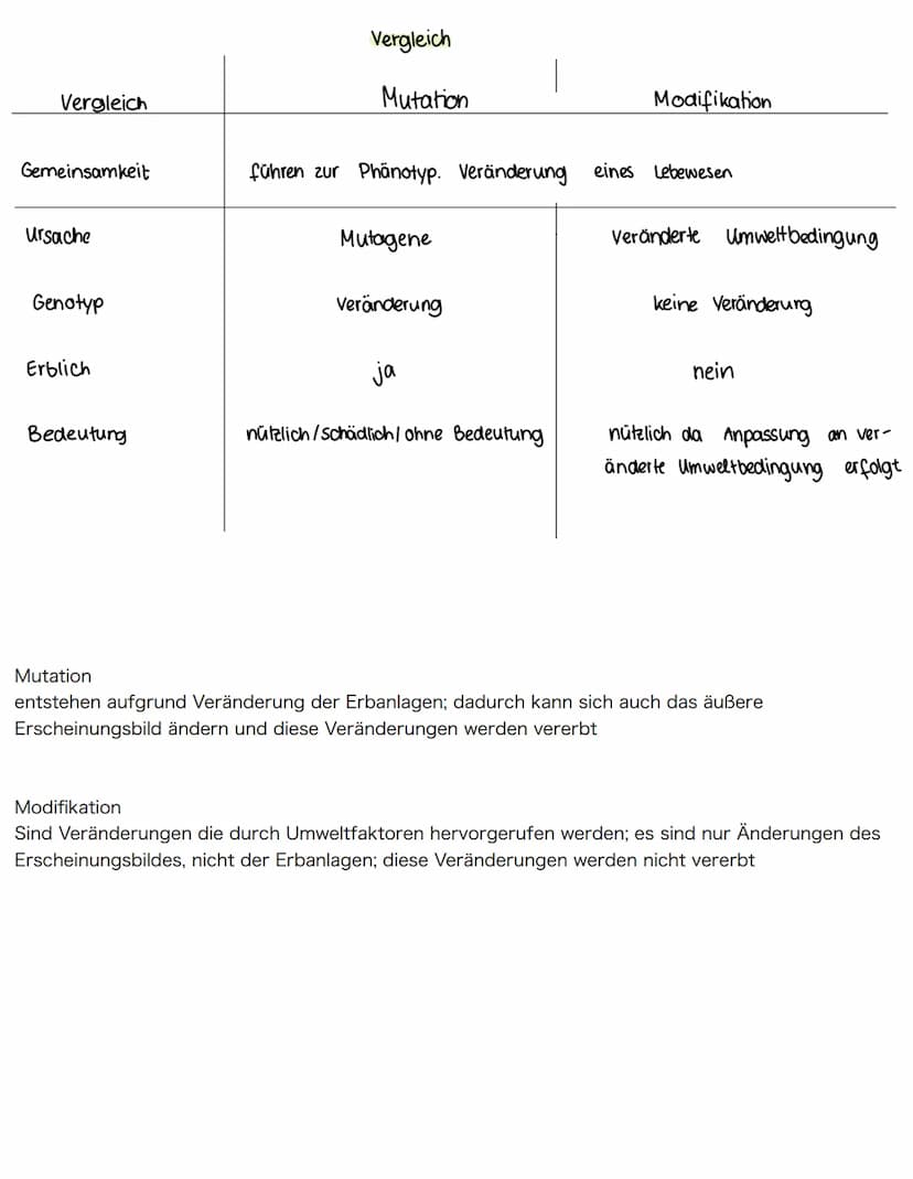Mutationen
-sind sprunghafte und zufällig auftretende Veränderungen der Erbinformation in Körperzellen
(somatische Mutationen) oder Keimzell