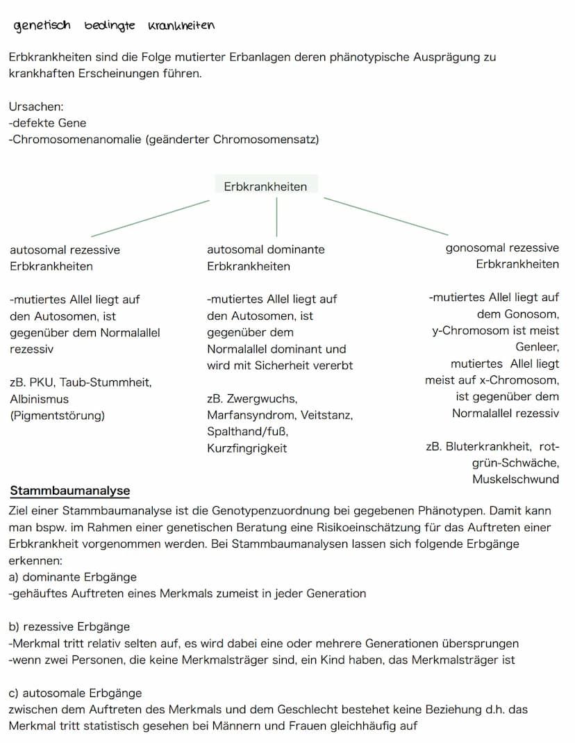 Mutationen
-sind sprunghafte und zufällig auftretende Veränderungen der Erbinformation in Körperzellen
(somatische Mutationen) oder Keimzell