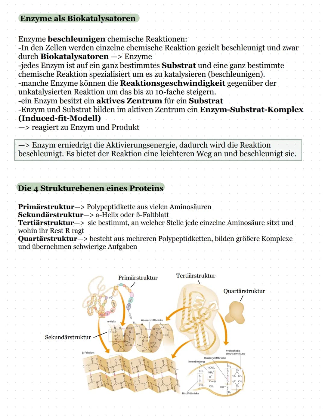 Biomembran und Lipide
Kohlenhydratketten
peripheres Protein
(sind nur aufgelagert)
Zellinnenraum
Biologie Kursarbeit
11/2 ULM
äußeres Milieu