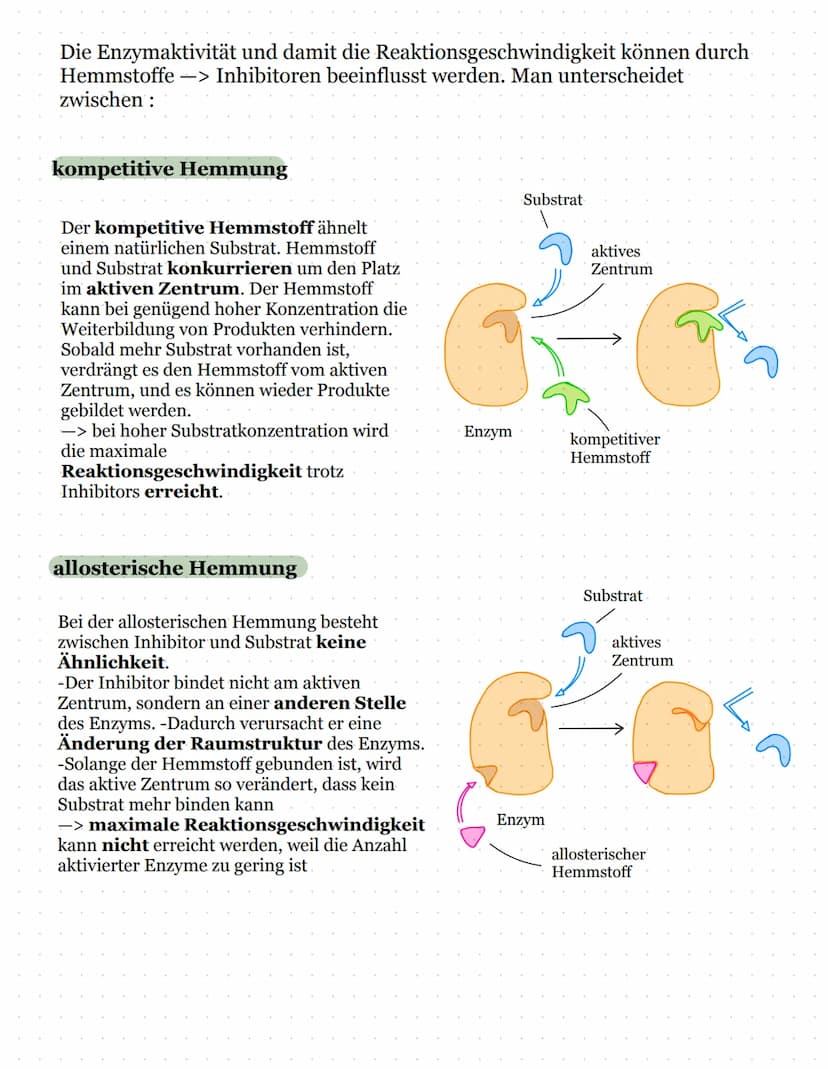 Biomembran und Lipide
Kohlenhydratketten
peripheres Protein
(sind nur aufgelagert)
Zellinnenraum
Biologie Kursarbeit
11/2 ULM
äußeres Milieu