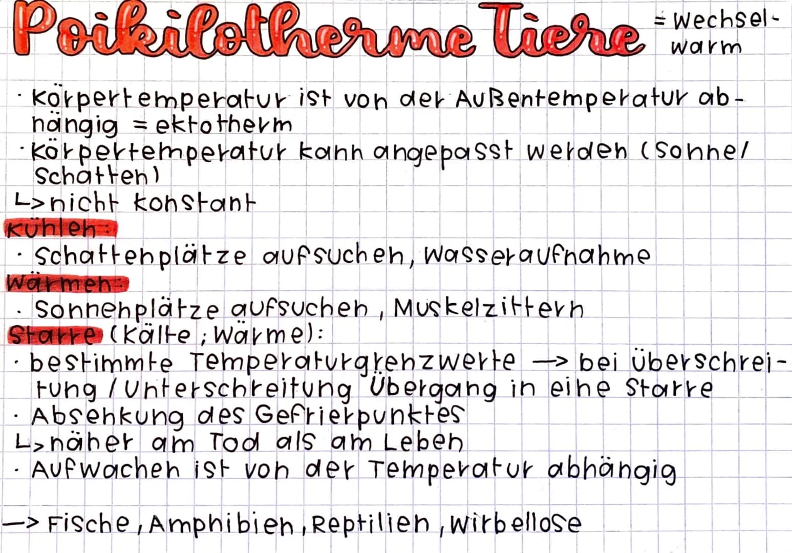 Homoitherme Tiere
Körpertemperatur wird unabhängig von der Umge-
bungstemperatur konstant gehalten = endotherm
Energie- und Nahrungsbedarf i
